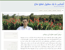 Tablet Screenshot of iran.special.ir